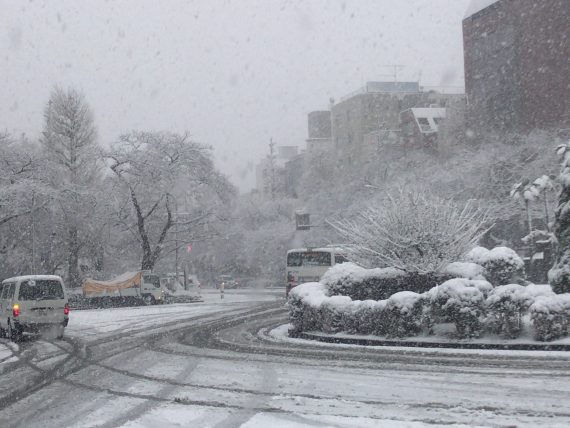 国立　雪風景