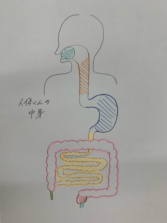 解剖生理学